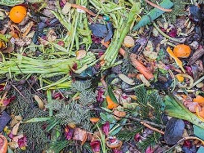 Garden Gold: Home Composting 101