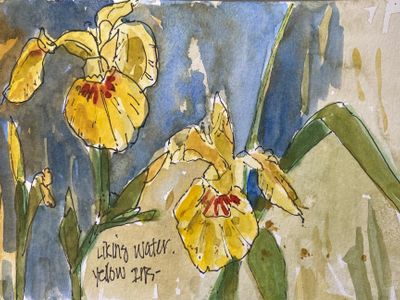 Botanical Sketching in Ink and Watercolor