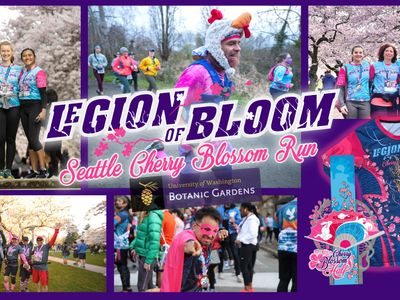 Seattle Cherry Blossom Run