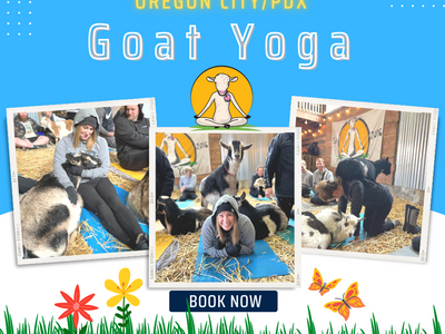 Original Goat Yoga Experience