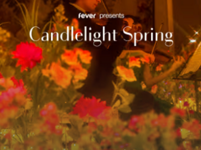 Candlelight Spring: The Best of Joe Hisaishi