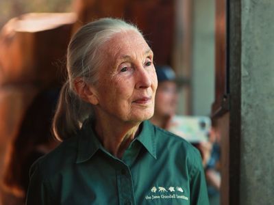 Living legend <a class="event-header fw-bold" href=index-3033.html Jane Goodall</a> will reflect on her lengthy career at a talk this week.