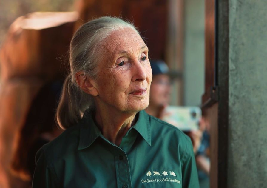 Boody joins forces with Dr. Jane Goodall to launch the Official