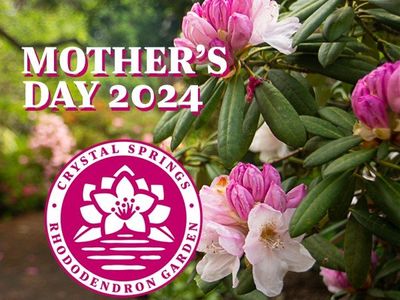 Mother's Day Sale & Show