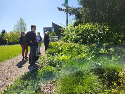 Managing Your Landscape in Tune with Nature, Permaculture and Pesticide-free