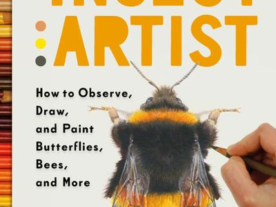 Zebith Stacy Thalden: The Insect Artist