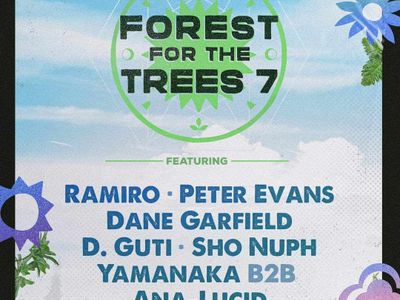 Forest For The Trees 7