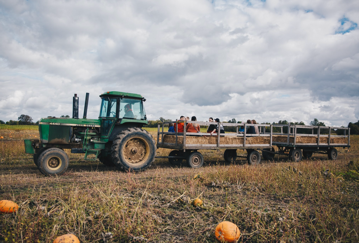 Fall Harvest Fest at Topaz Farm at Topaz Farm in Portland, OR ...