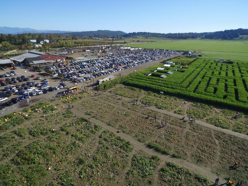 Thomas Family Farm Family Fall Festival at Thomas Family Farm in ...