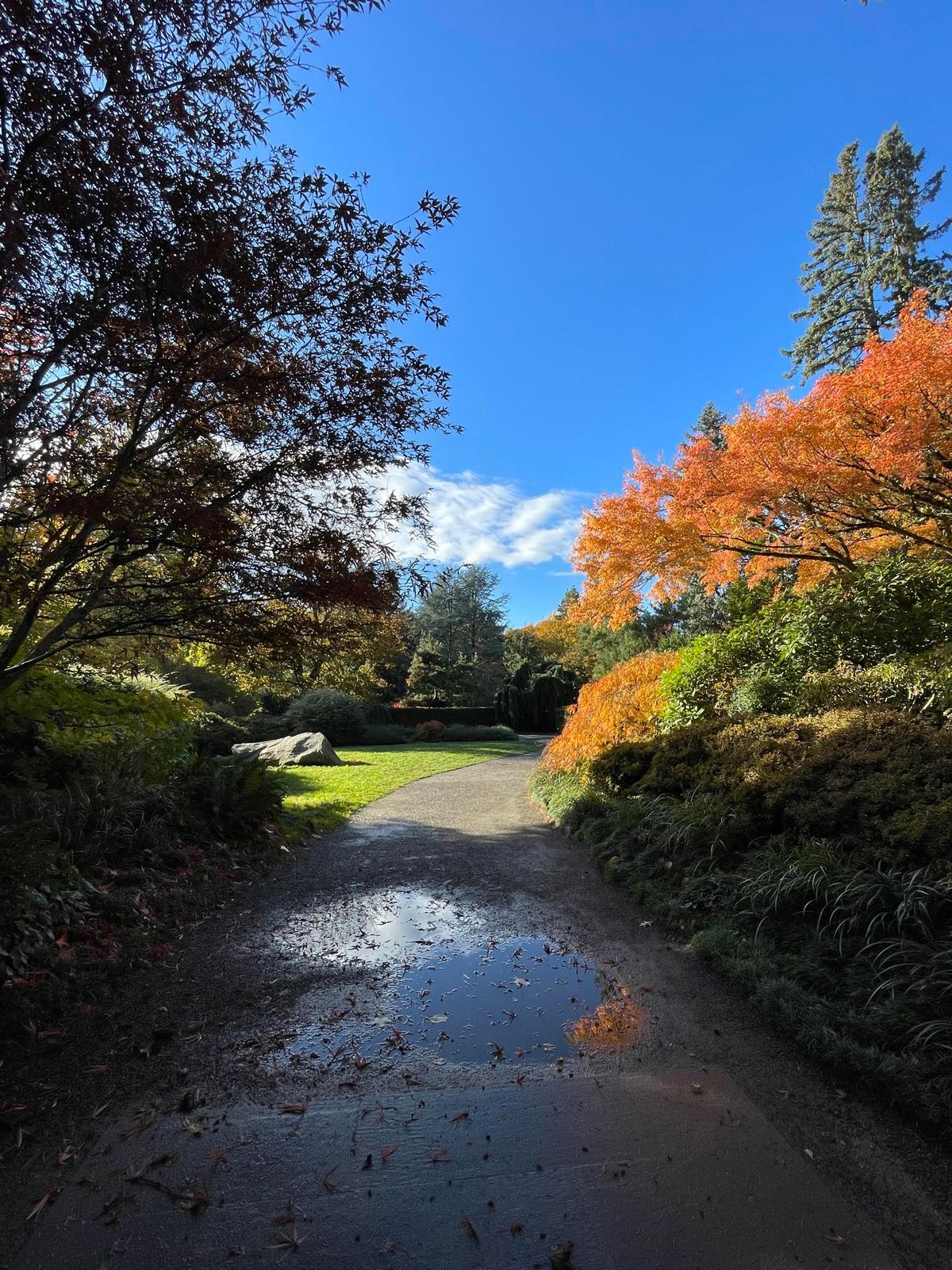 Fall Color Tours at Kubota Garden in Seattle, WA Every Saturday