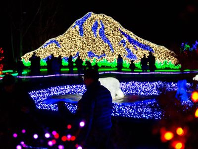 Take in the spectacle of Christmas with <a href="https://www.thestranger.com/events/40857326/zoolights">Zoolights</a> at Point Defiance Zoo.